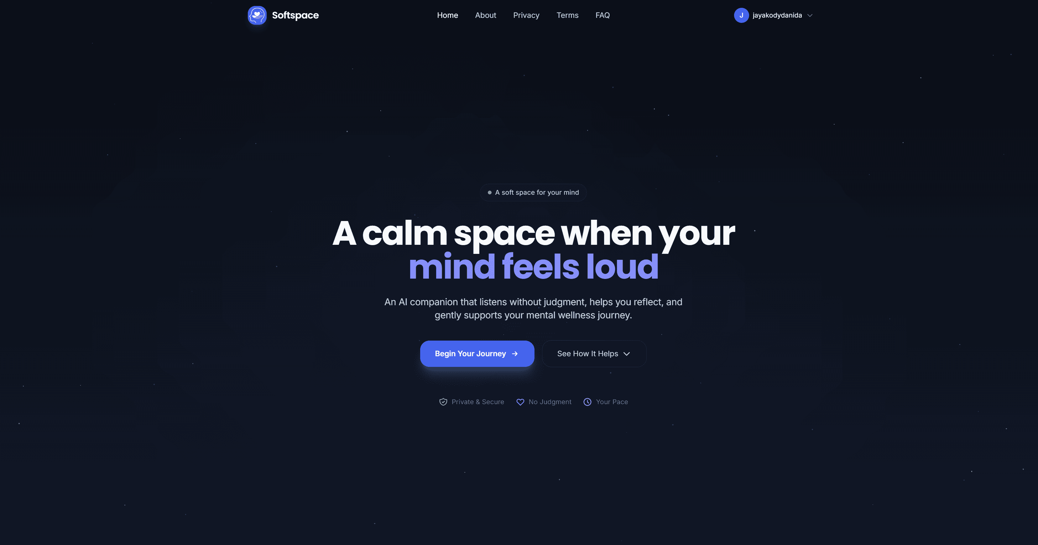 softspace screenshot
